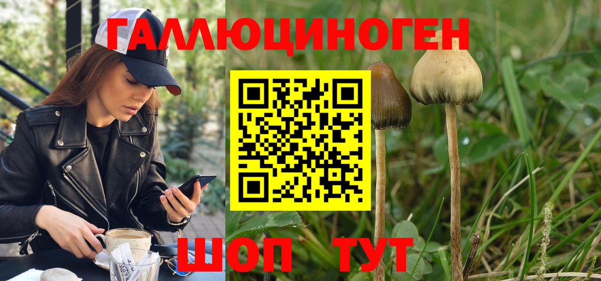 Зерноград  Галлюциногенные грибы ЛСД  Вход с VPN 