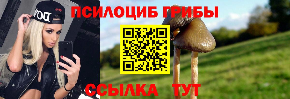 Галлюциногенные грибы мухоморы Зерноград